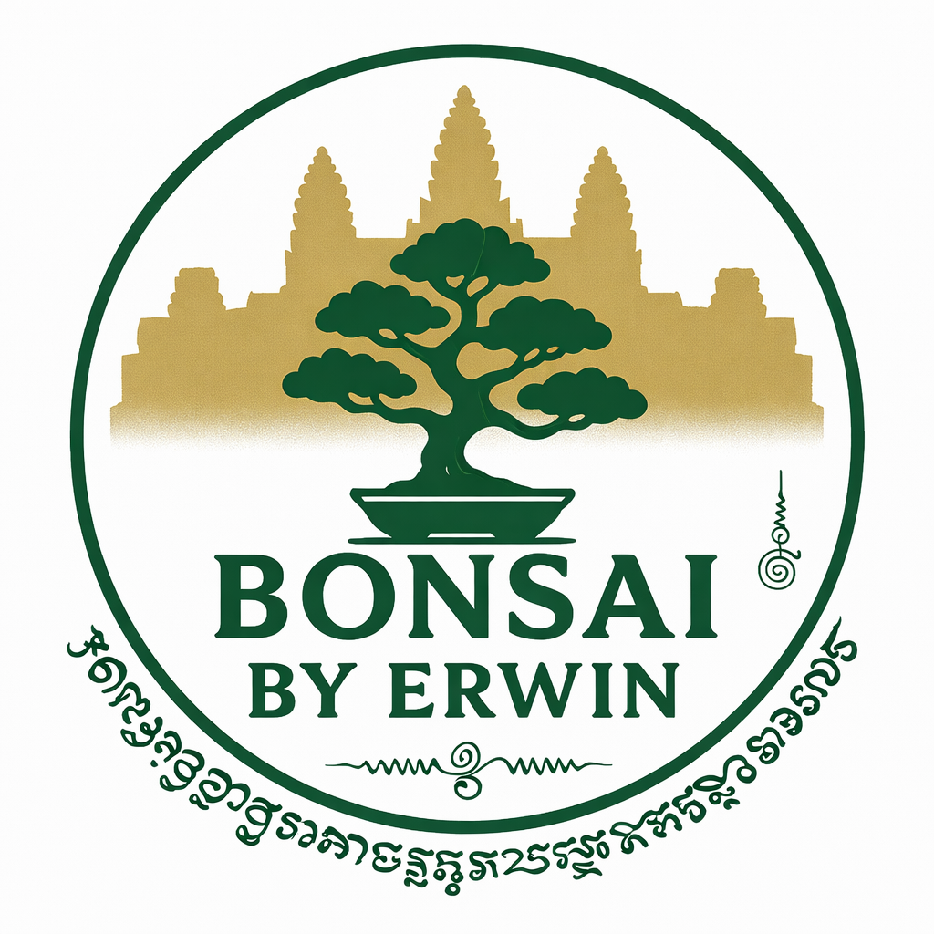 Bonsai by Erwin